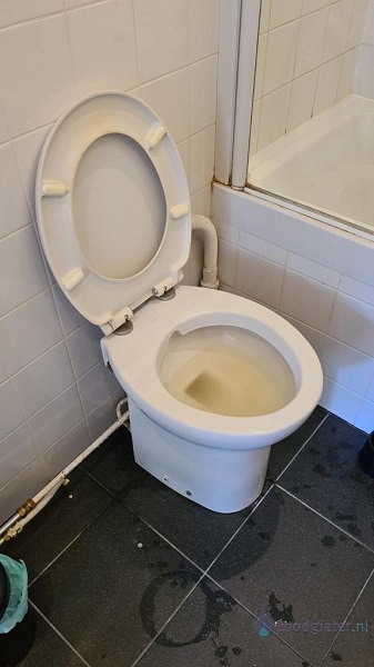  verstopping toilet Bleiswijk